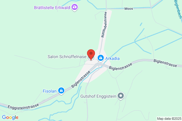 Hundesalon Schnüffelnase