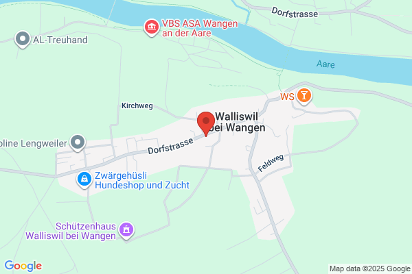 Physio-und Hippotherapie