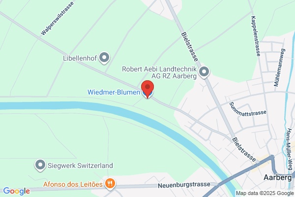 Wiedmer-Blumen AG
