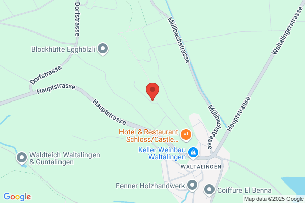Hostettler EDV GmbH