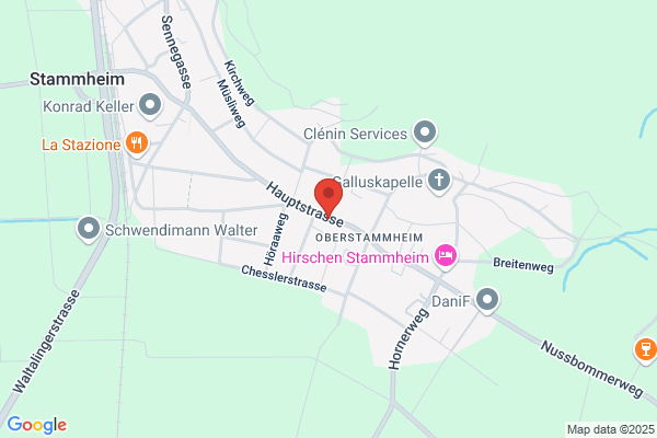 IBBertschinger
