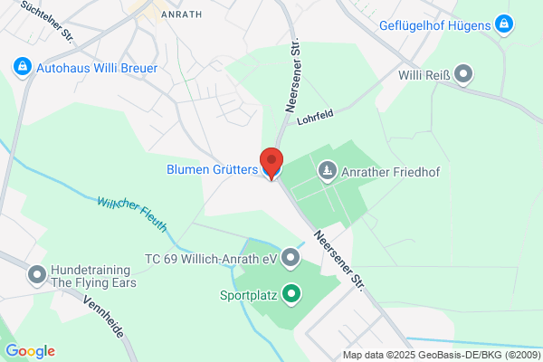 Blumen Grütter