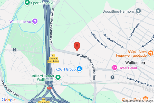 Hansruedi Aerne