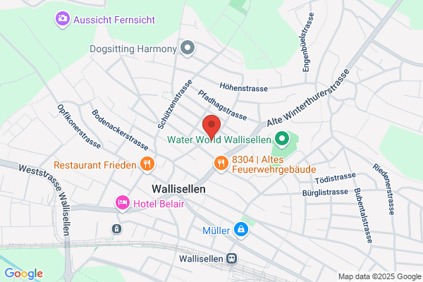 Bellani Web Publishing und Design