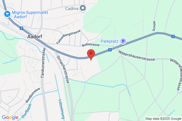 Lesa-Transporte AG