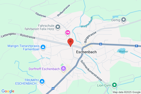 swissmontagen gmbh