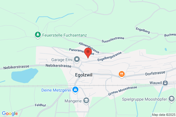 Zimmerei Team Egolzwil