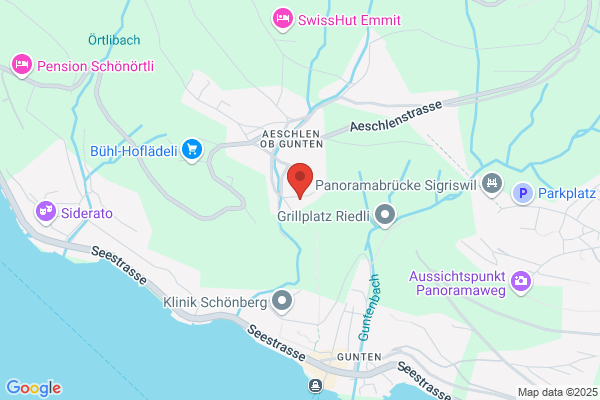 Roesti Consulting