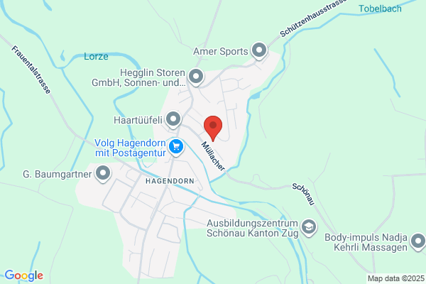 Internetservices Hurni