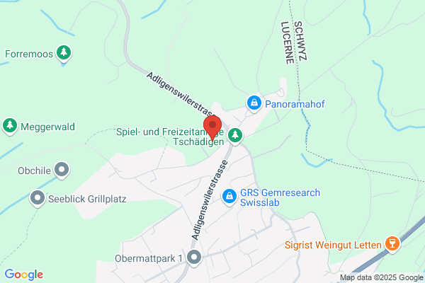 Diomedes Aktiengesellschaft