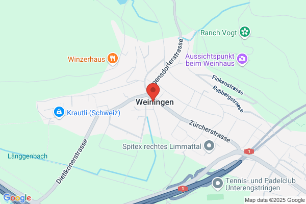 SP Weiningen Susan Fues