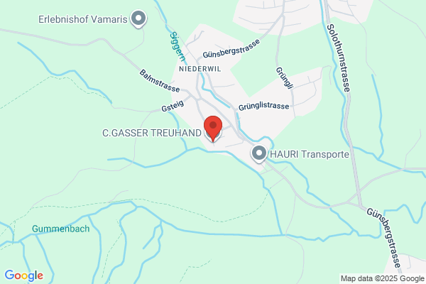 C.GASSER TREUHAND GmbH