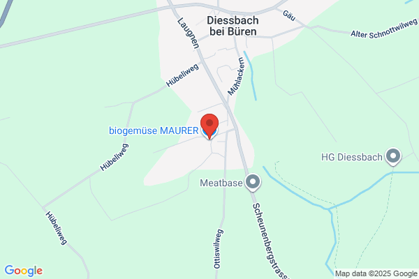 Maurer Biogemuesebau