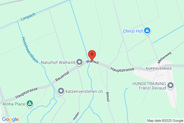 Moomba GmbH