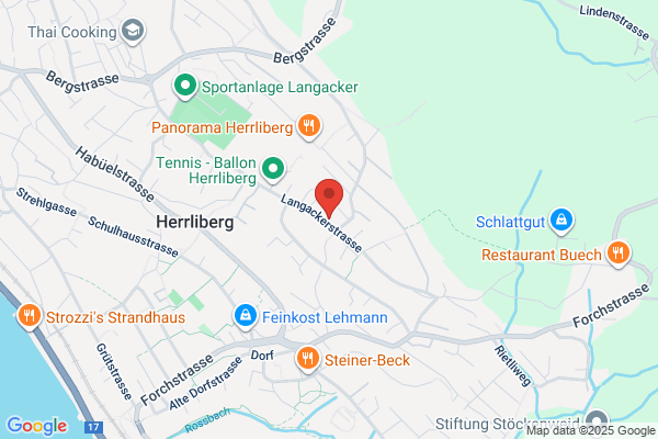 Heidi Haberthuer-Lang, Treuhand und Beratung