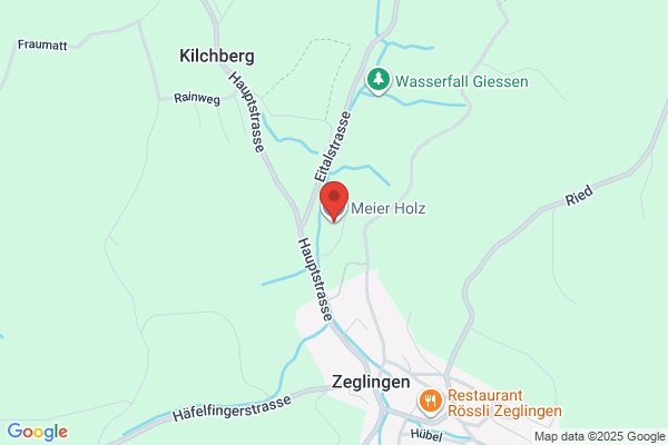 Meier Holz AG