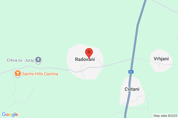 Radovan Djurdjevic