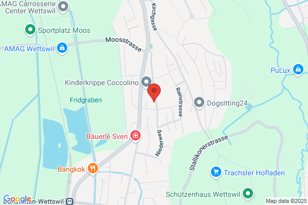 Rogomentic Informatik