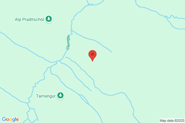 Tamangur AG