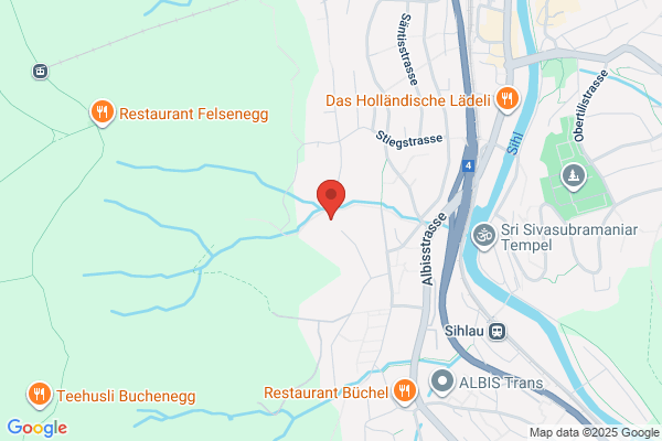 SwissDKM