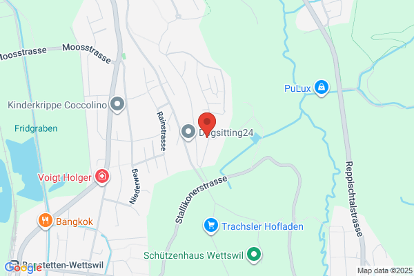 Mediensatellit GmbH