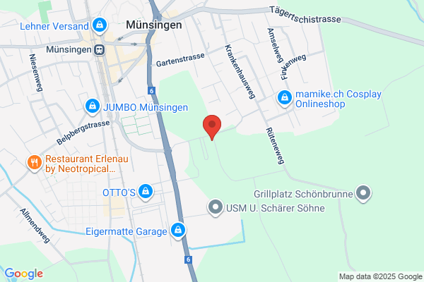 Insys Industriesysteme AG