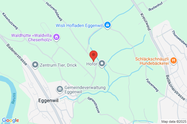 Percula Consulting GmbH