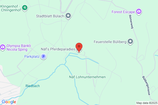 Naef Pferdepension GmbH