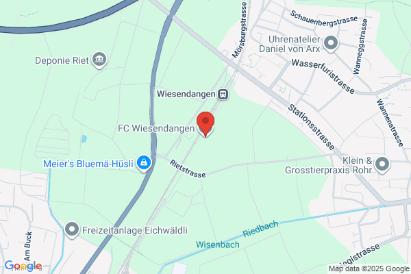 Street-Soccer Verband Schweiz (SSVS)