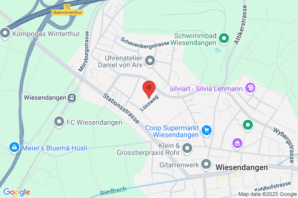 Unternehmensberatung H. Aebi