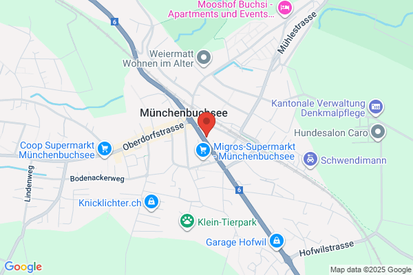 Lanz Elektronik GmbH