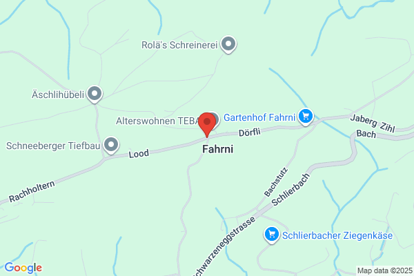 Willi Fahrni