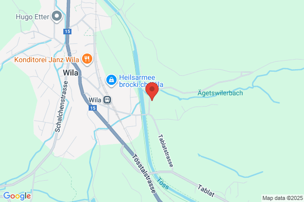 Bachmann Sägerei AG