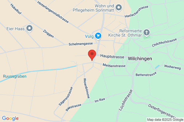 HedingerHolz AG
