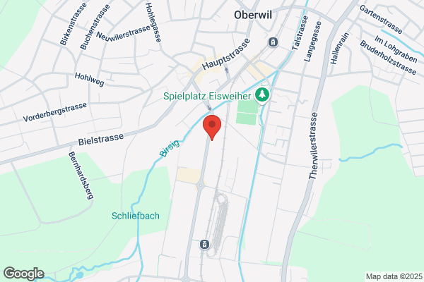 G. Schelker AG