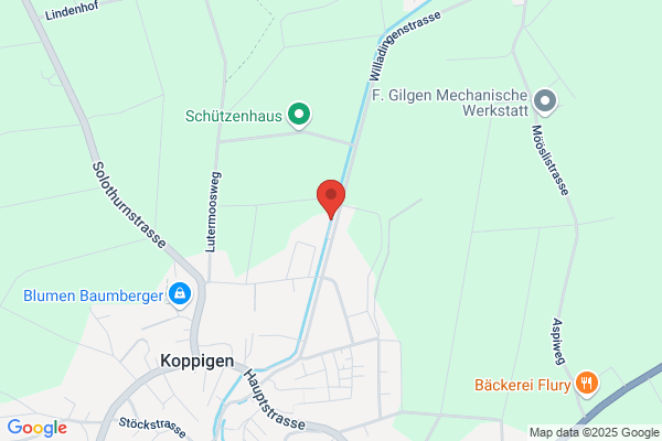 Beratungsdienst des Verbandes Schweizer Gaertnermeister (VSG)