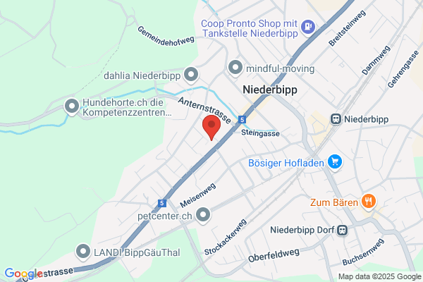 NES AG Niederbipp