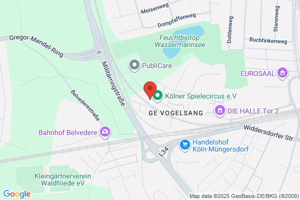 Baeni Trading und Co.