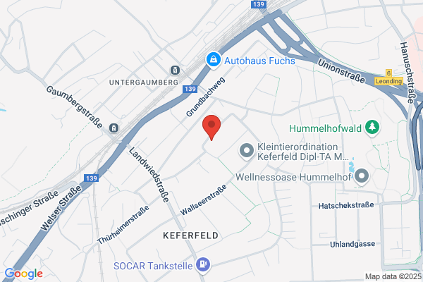 Boehm und Koller Consuting AG