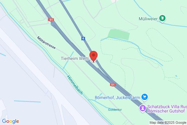 Tierheim Easy