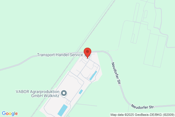 T-TRANS Transporte