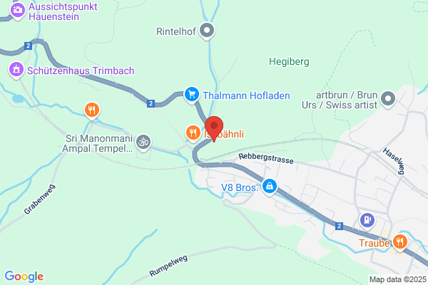 Gebrüder Straumann AG