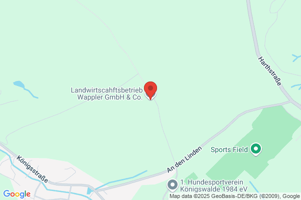 Wappler und Co AG