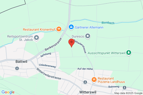 Zeptosens AG