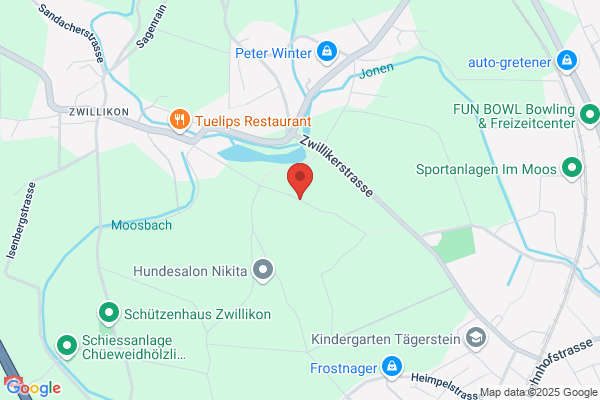 Prose Messtechnik AG