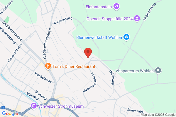 Ambuehl Illustrationen Retuschen-Grafik