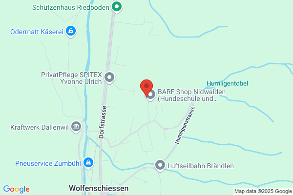Protip Schreibservice