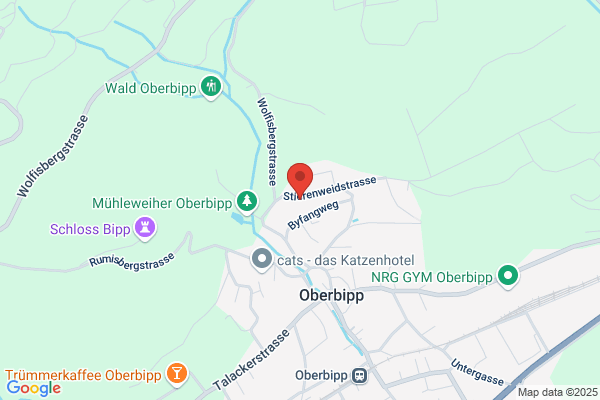 Obi's Express GmbH