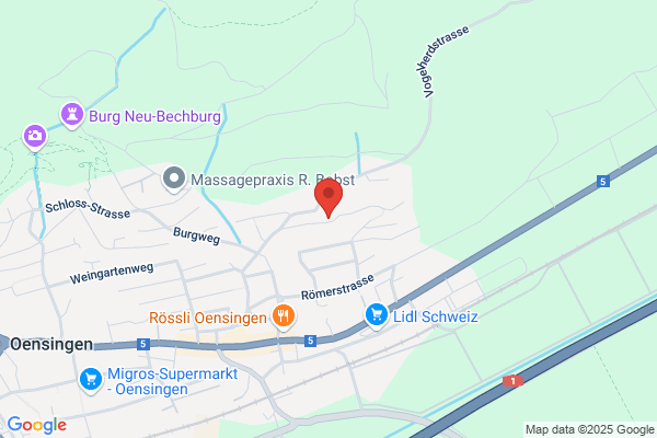 Tractorpullingniederbipp AG
