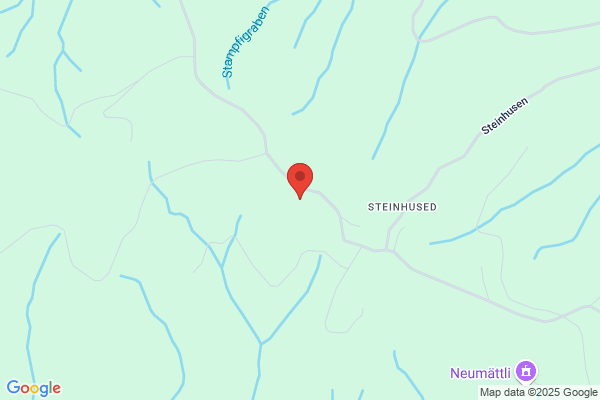 Isenschmid Saegerei und Holzpallet AG